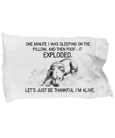 Funny pillow case - Dogs Make Me Happy