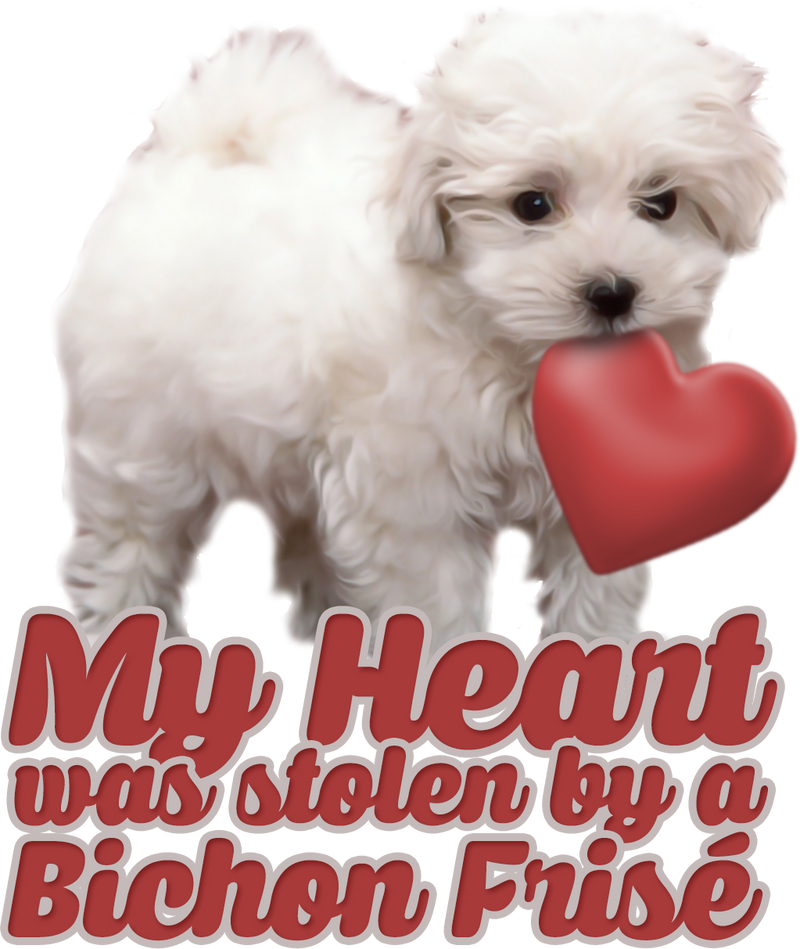 My heart was stolen by a bichon - mug - Dogs Make Me Happy - 2