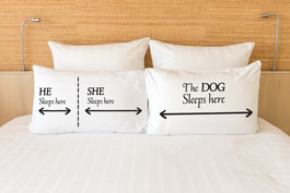 The dog sleeps here - Dogs Make Me Happy