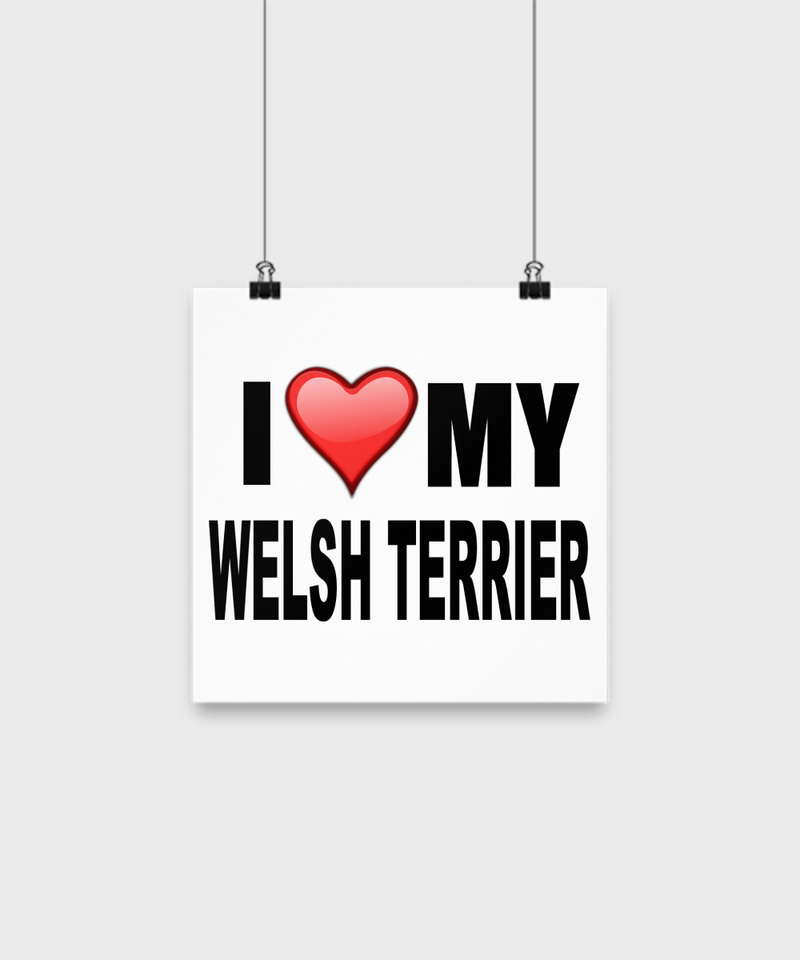 I Love My Welsh Terrier -Poster - Dogs Make Me Happy - 1