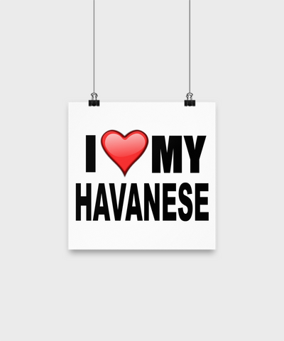 I Love My Havanese - Poster - Dogs Make Me Happy - 1
