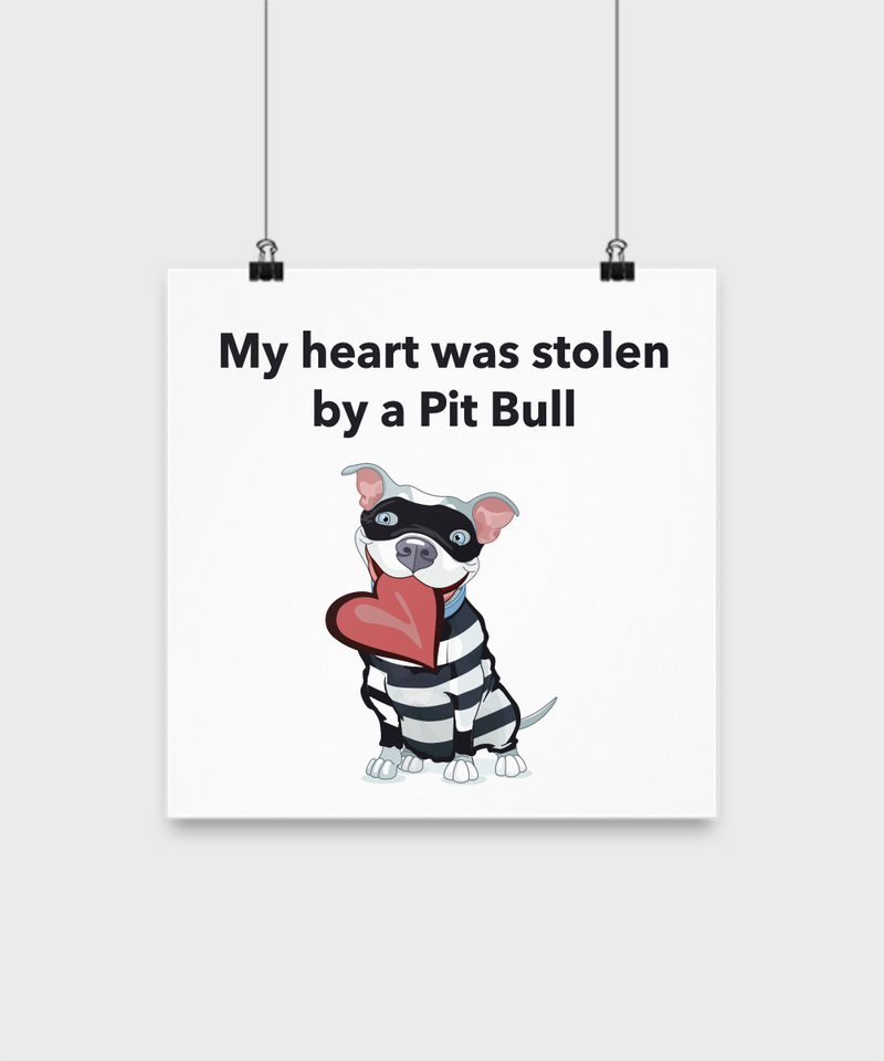 Pit Bull Poster