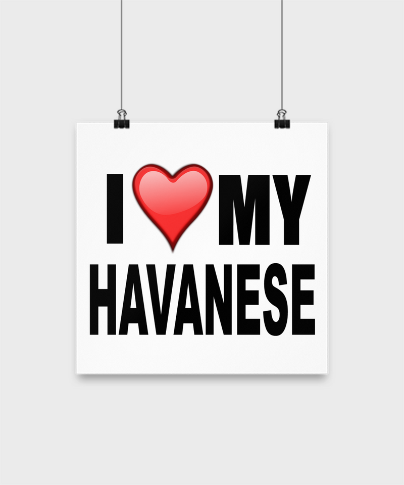 I Love My Havanese - Poster - Dogs Make Me Happy - 2
