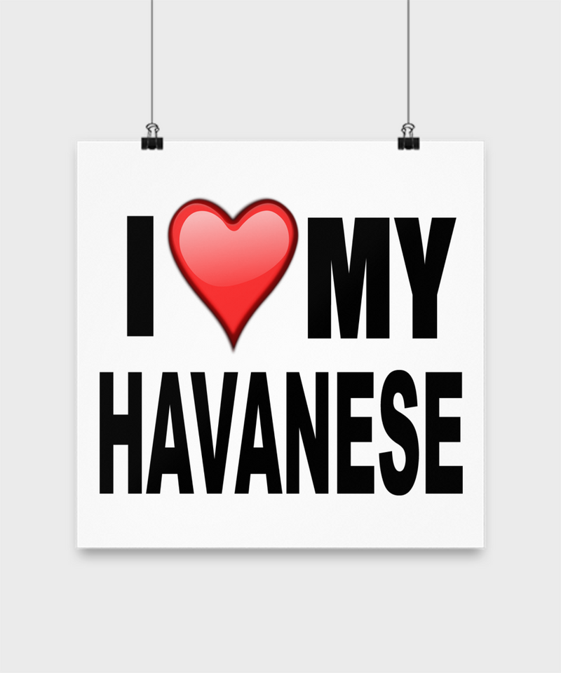 I Love My Havanese - Poster - Dogs Make Me Happy - 3