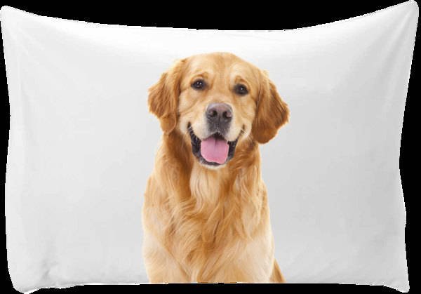 Dog pillow case: Personalized pillow case with a picture of your dog