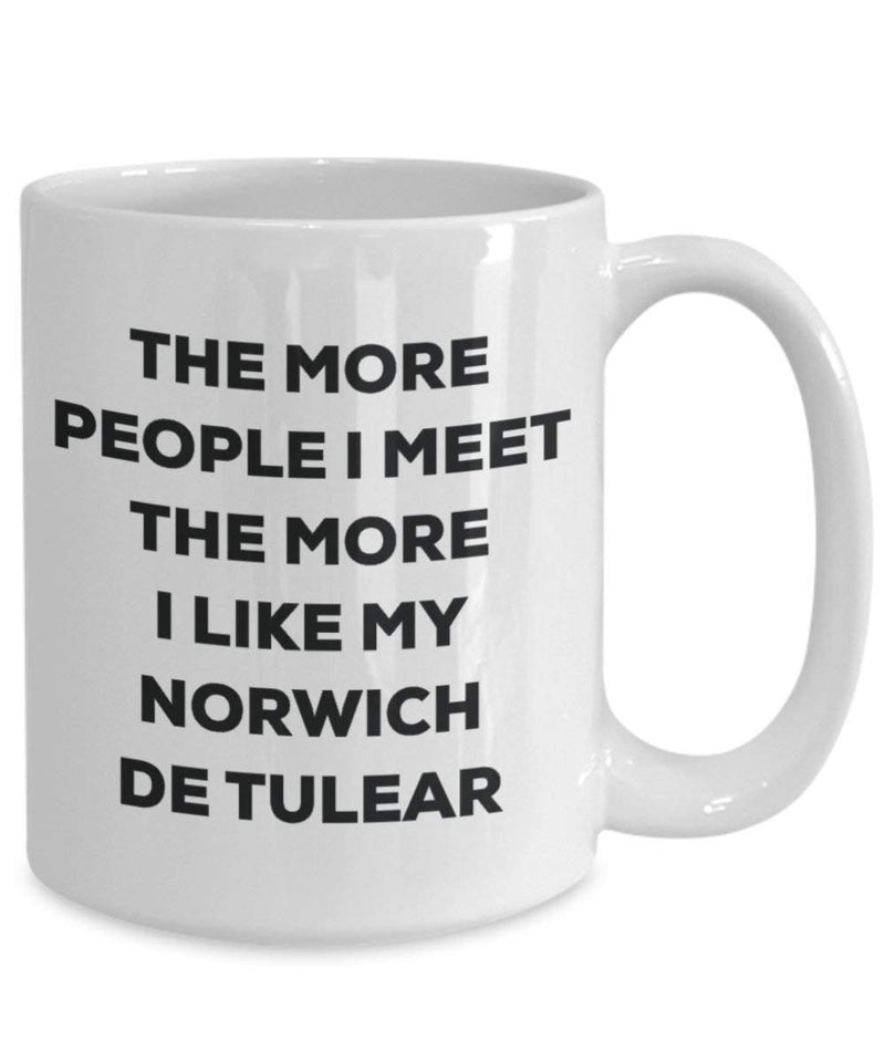 The more people I meet the more I like my Norwich De Tulear Mug