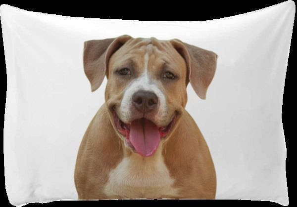 Dog pillow case: Personalized pillow case with a picture of your dog