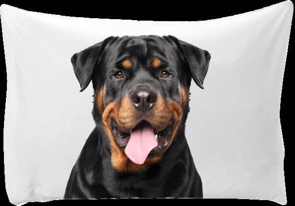 Dog pillow case: Personalized pillow case with a picture of your dog