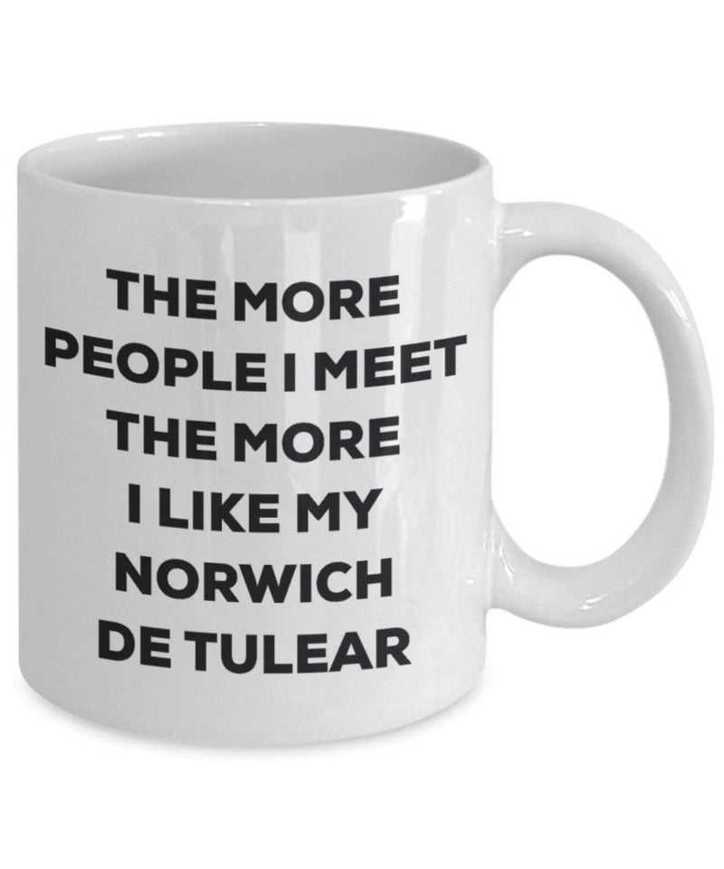 The more people I meet the more I like my Norwich De Tulear Mug